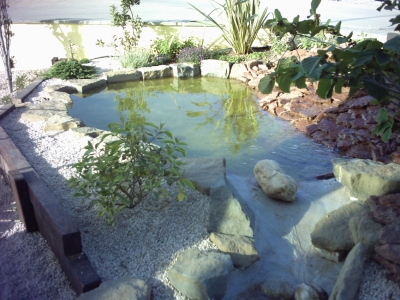 Pond-FishTank-Waterproofing1